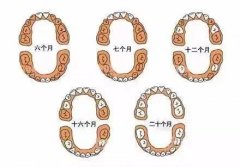 孩子到底何时长牙、何时换牙？徐州妇幼保健院专家为你解惑